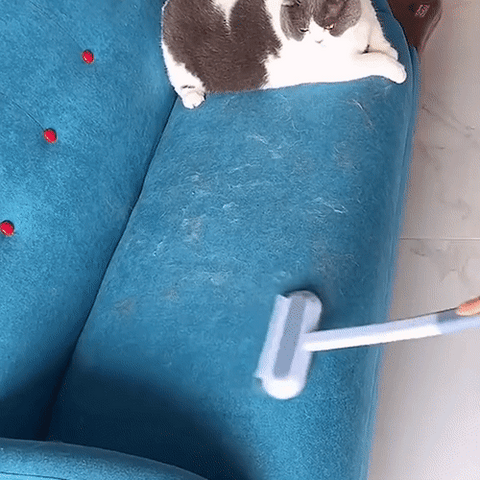 3-i-1 kæledyrshårfjerner - PetClean Pro