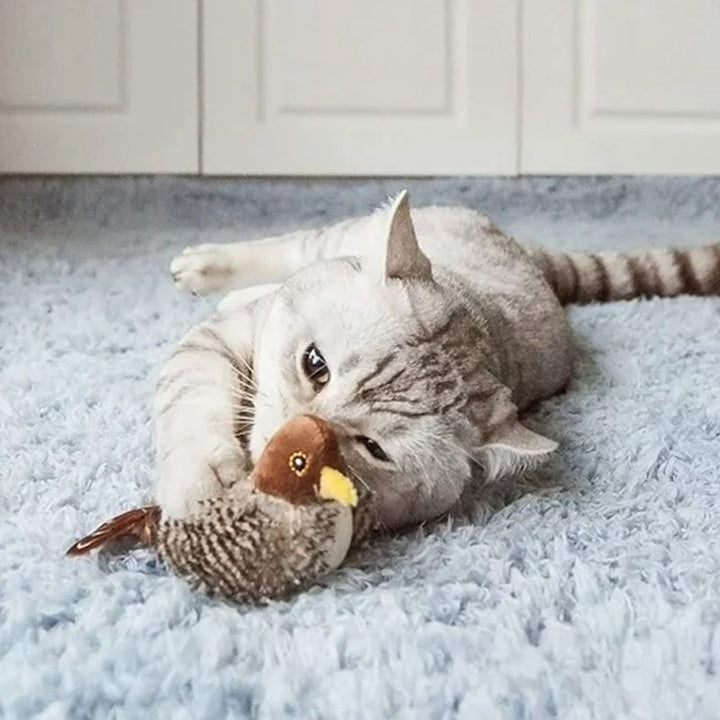 Interaktivt kattelegetøj - ChirpBird