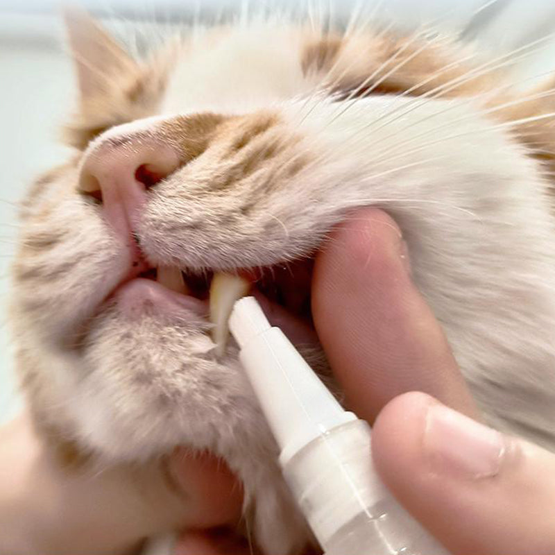 Kæledyr Tandbørste Pen - PetSmile