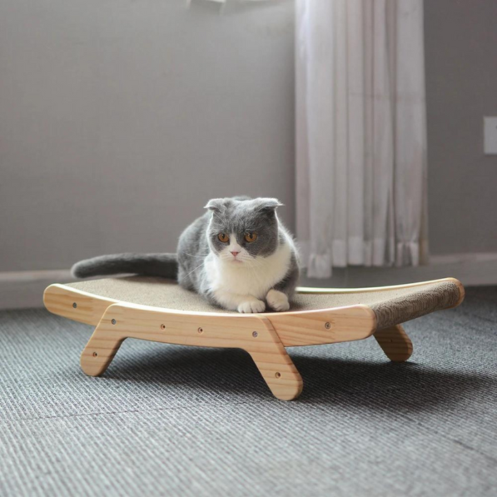 Katten Kradsede - Luna