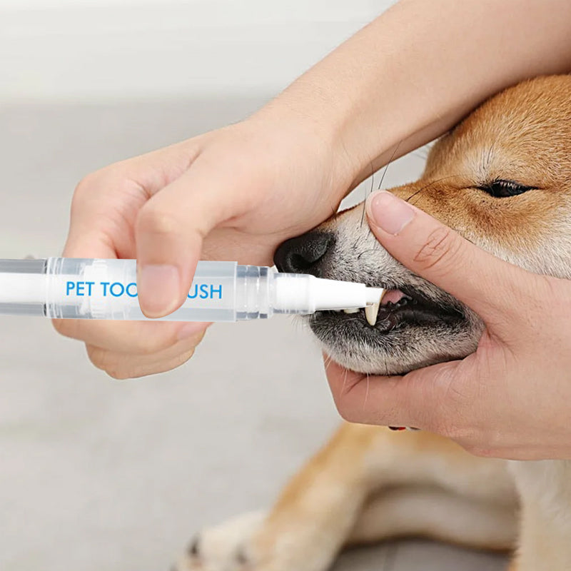 Kæledyr Tandbørste Pen - PetSmile