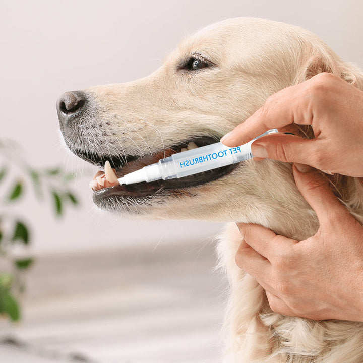 Kæledyr Tandbørste Pen - PetSmile