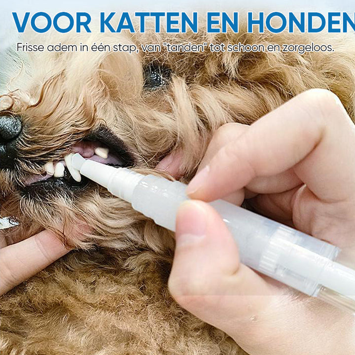 Kæledyr Tandbørste Pen - PetSmile