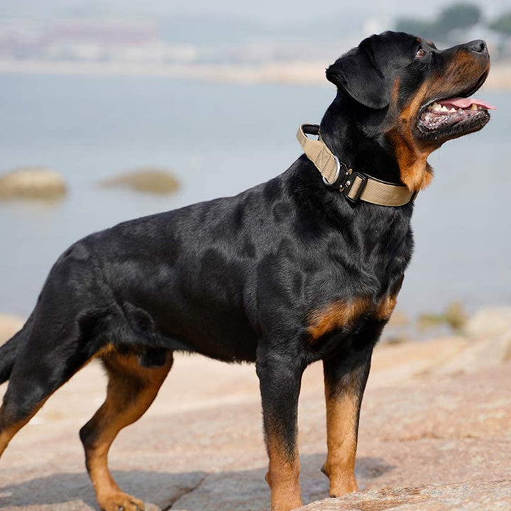 Taktisk hundehalsbånd med håndtag - PowerGrip