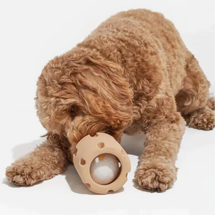 Tandplejende legetøj til hunde - BounceChew
