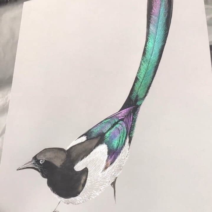Flerfarvet akvarelmalesæt - ColorCrafter