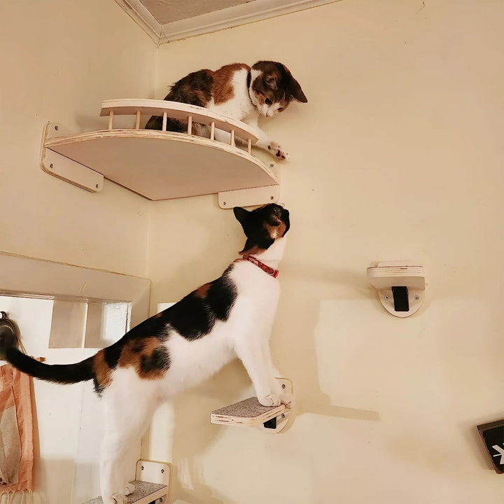 Vægmonteret klatreplanke til katte med kradsetræ - ClimbPaws