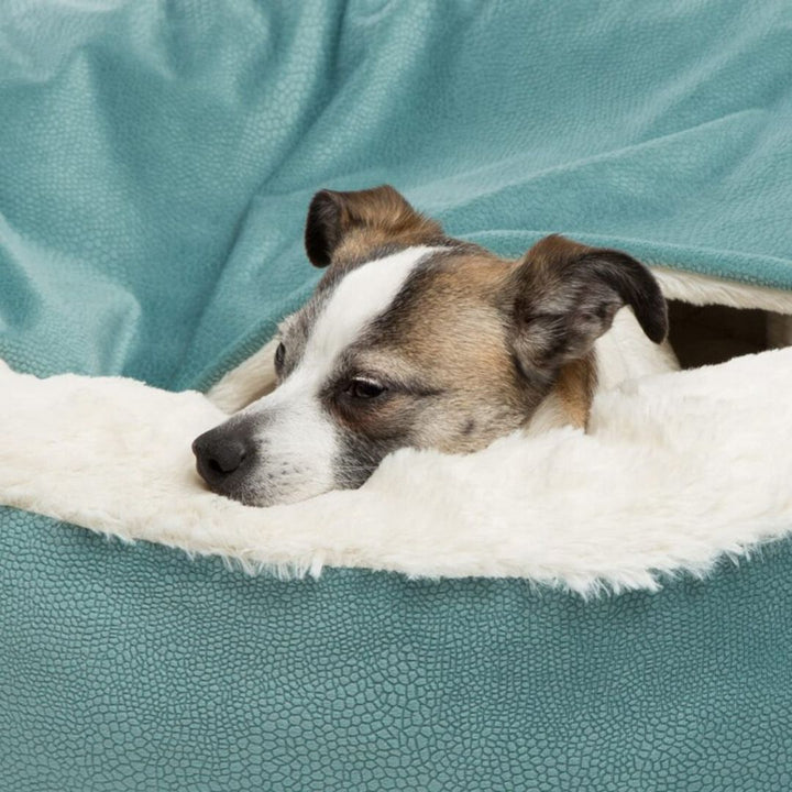Hundekrammehule - SnuggleNest