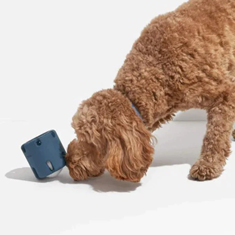 Tandplejende legetøj til hunde - BounceChew