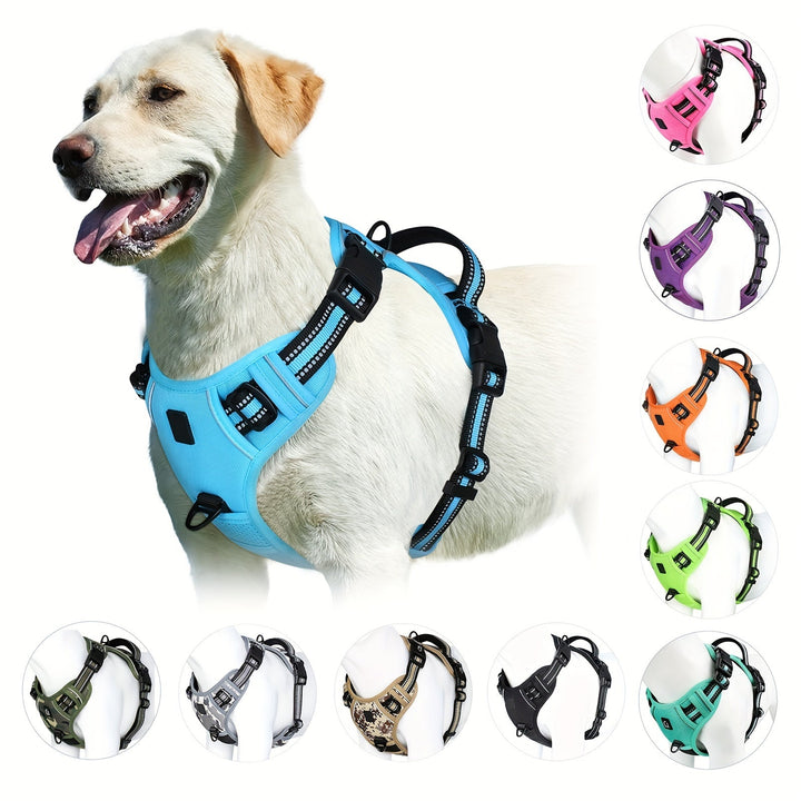 Hundesele - SafeWalk