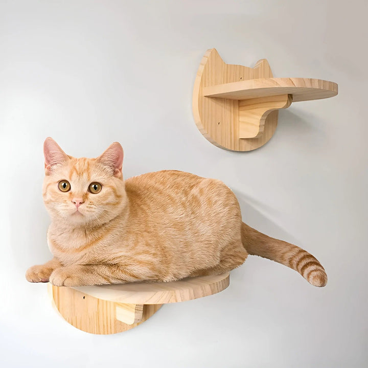 Vægmonteret klatreplanke til katte med kradsetræ - ClimbPaws