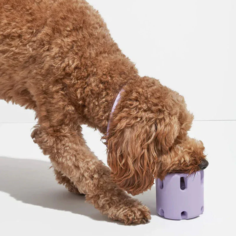 Tandplejende legetøj til hunde - BounceChew