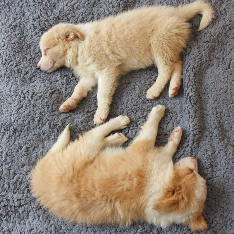 Blødt hvalpetæppe - SnuggleFur Fleece