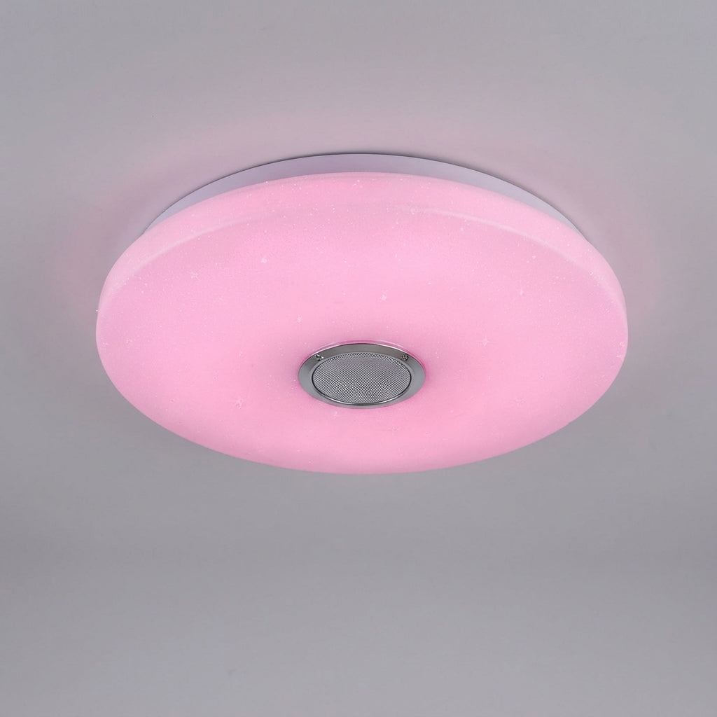 App Controlled Ceiling Light -  Radiomuse