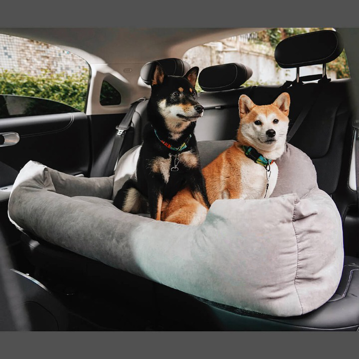 Luksus rejseseng til hunde - PawsRest