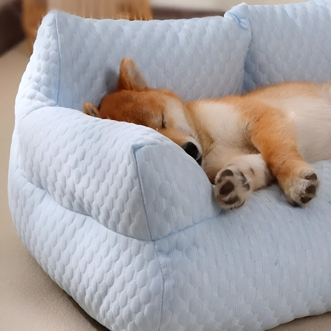 Vaskbar plys-hyggeseng til kæledyr - CozyPaws