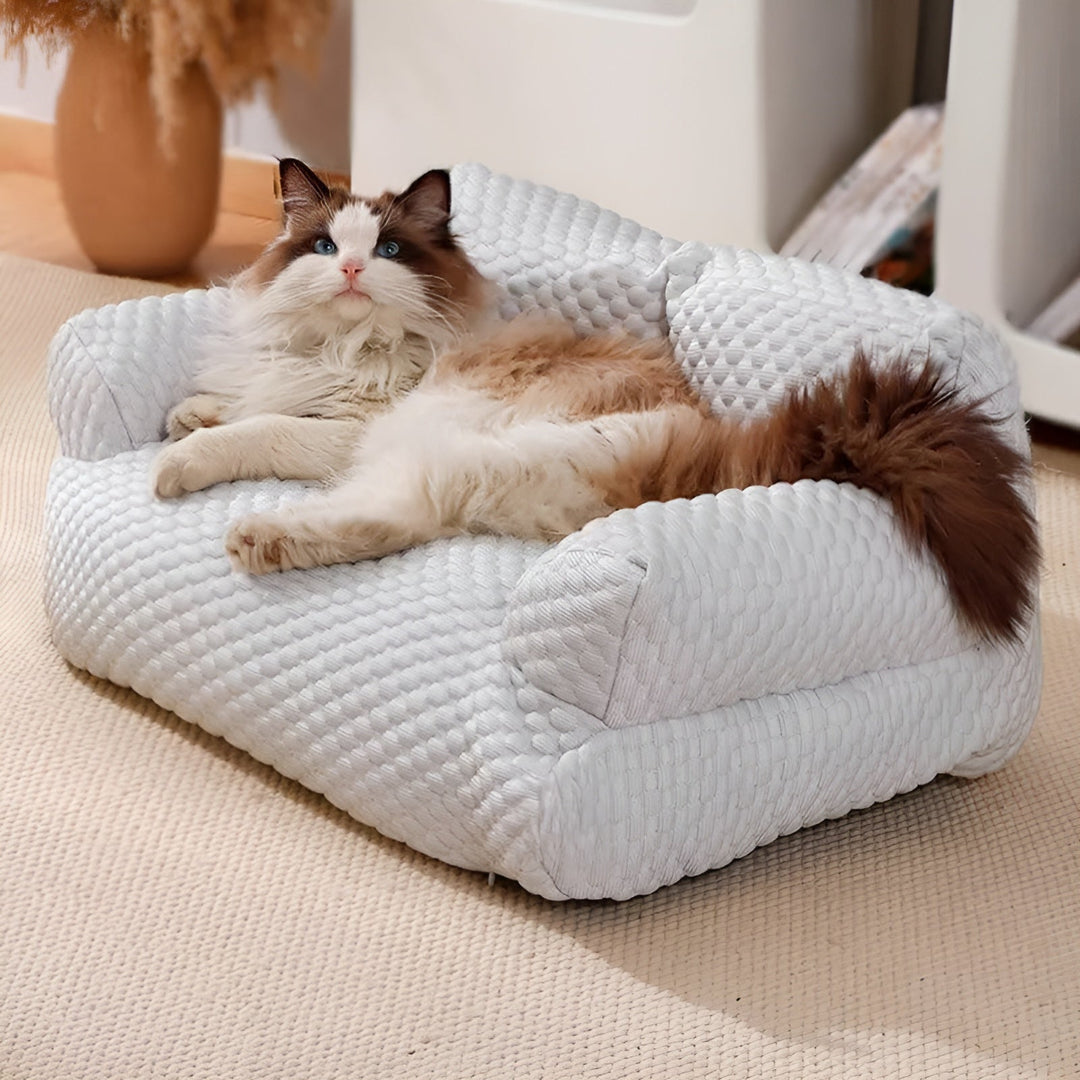 Vaskbar plys-hyggeseng til kæledyr - CozyPaws