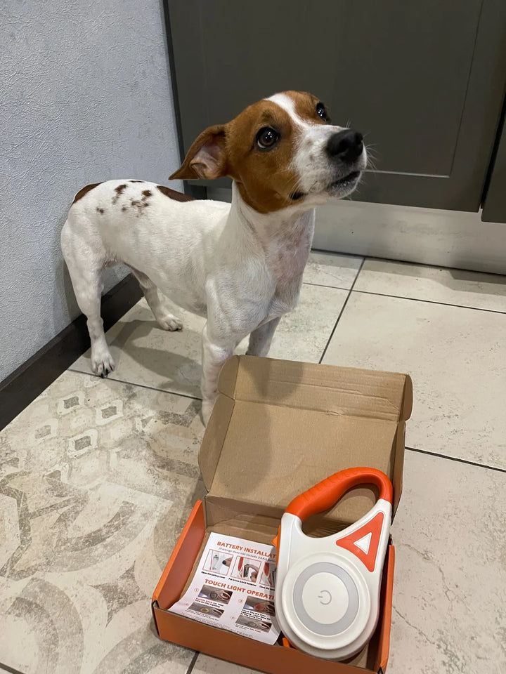 Lysende hundesnor med lommelygte - GlowGuard