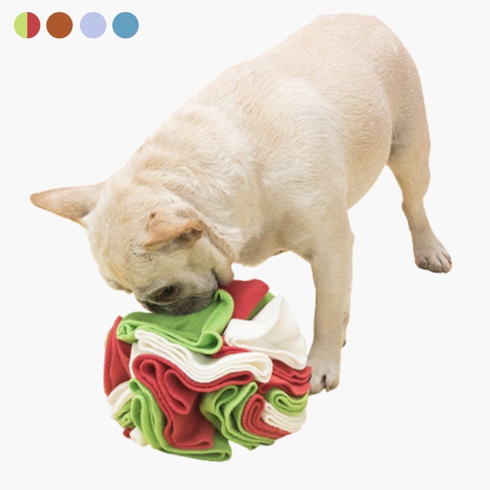 Snusebold til hunde - PawMaze