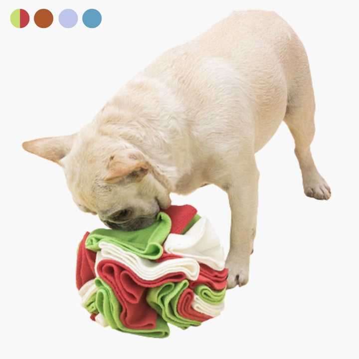 Snusebold til hunde - PawMaze