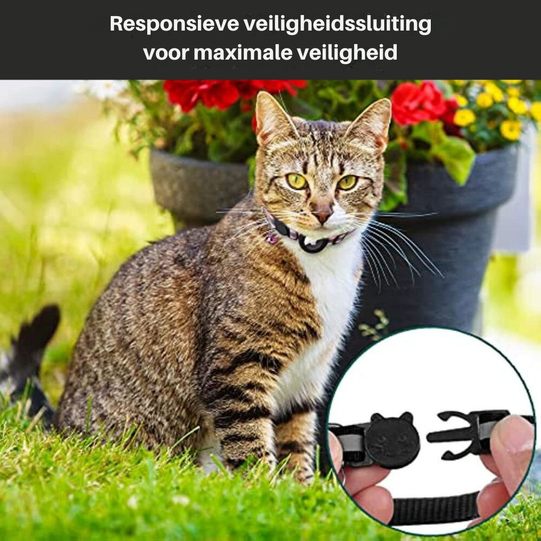 Kattehalsbånd med sikkerhedsudløser - Milo