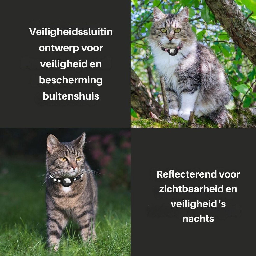 Kattehalsbånd med sikkerhedsudløser - Milo