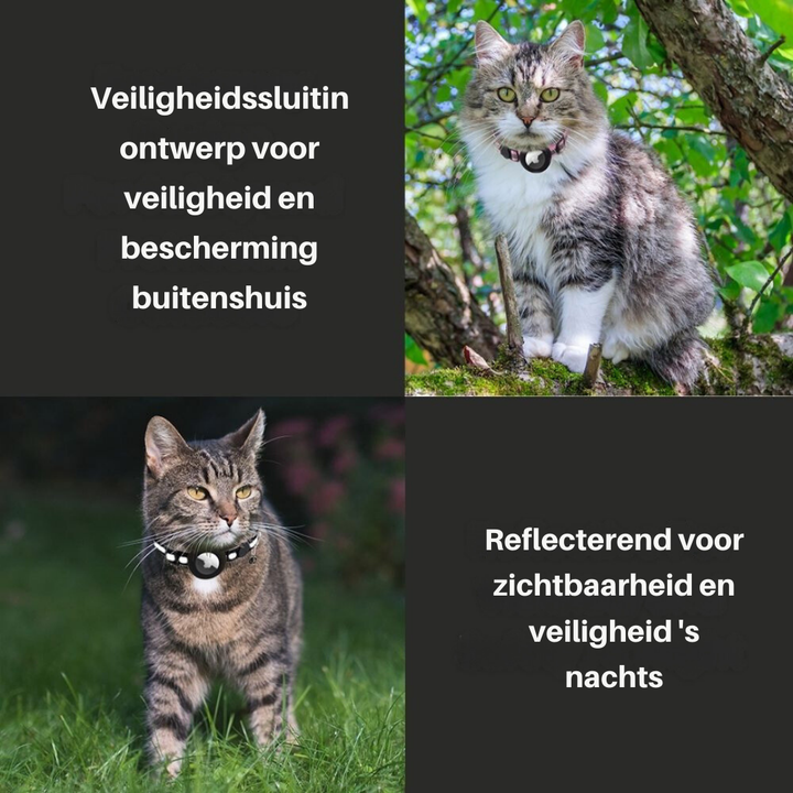 Kattehalsbånd med sikkerhedsudløser - Milo