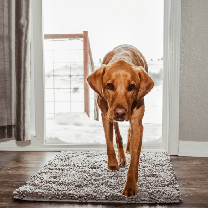 Rensemåtte til hunde - Boris