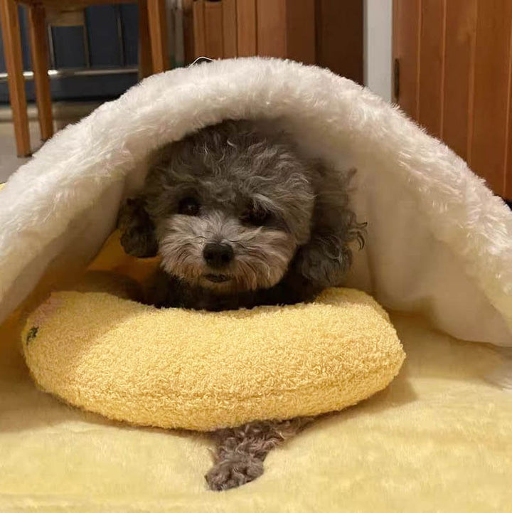 Komfortabel pude til hunde - CalmNest