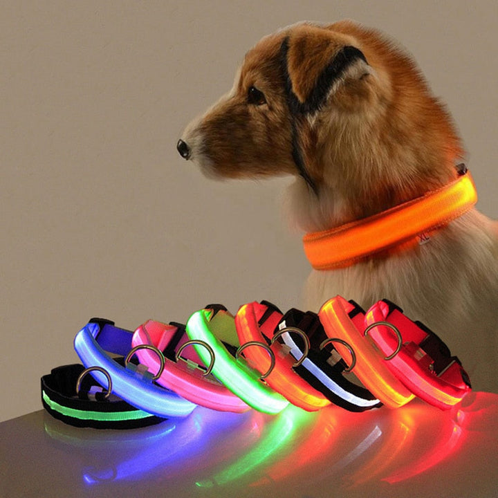 Hundehalsbånd med LED-belysning - GlowCollar