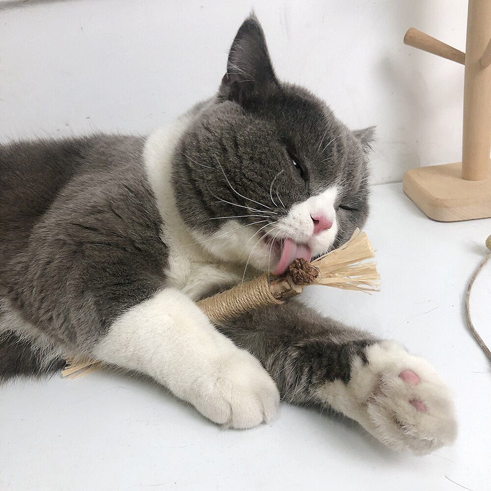 Interaktive tyggepinde til katte - ChewPlay