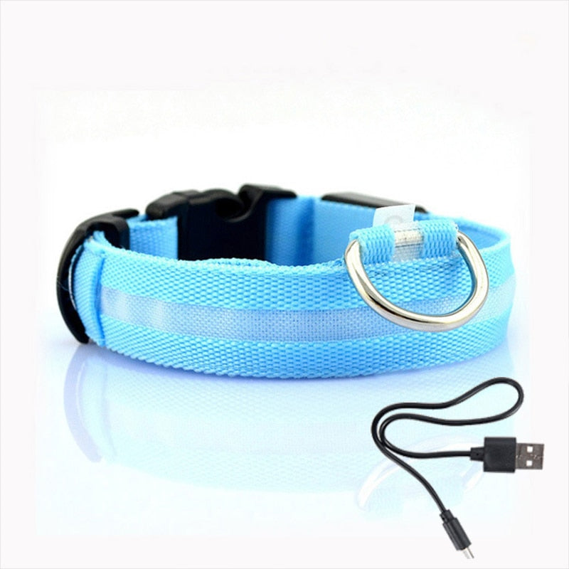Hundehalsbånd med LED-belysning - GlowCollar