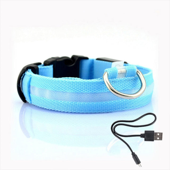 Hundehalsbånd med LED-belysning - GlowCollar