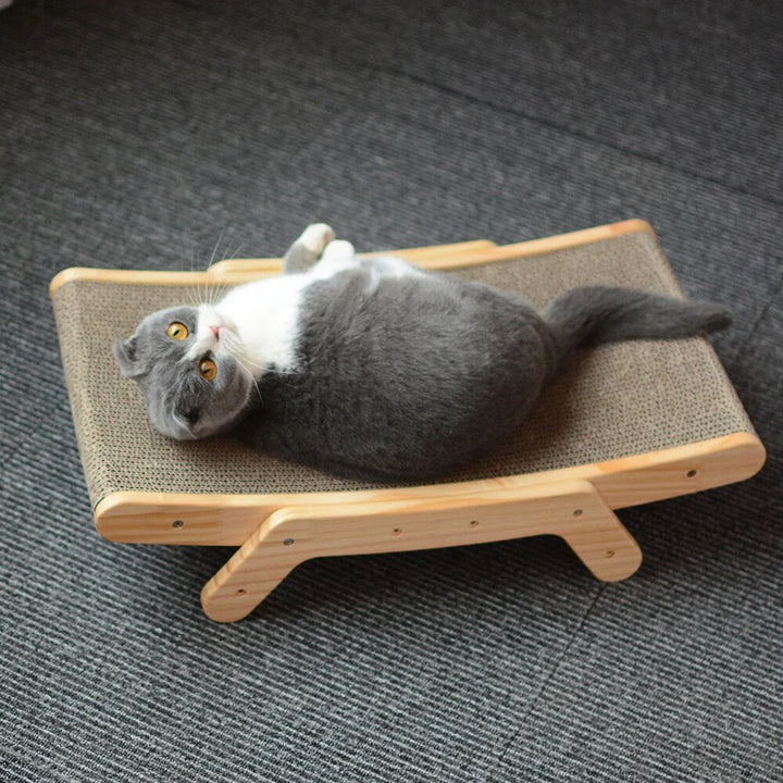 Katten Kradsede - Luna