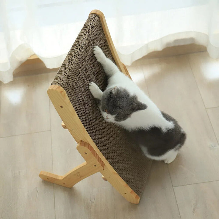 Katten Kradsede - Luna
