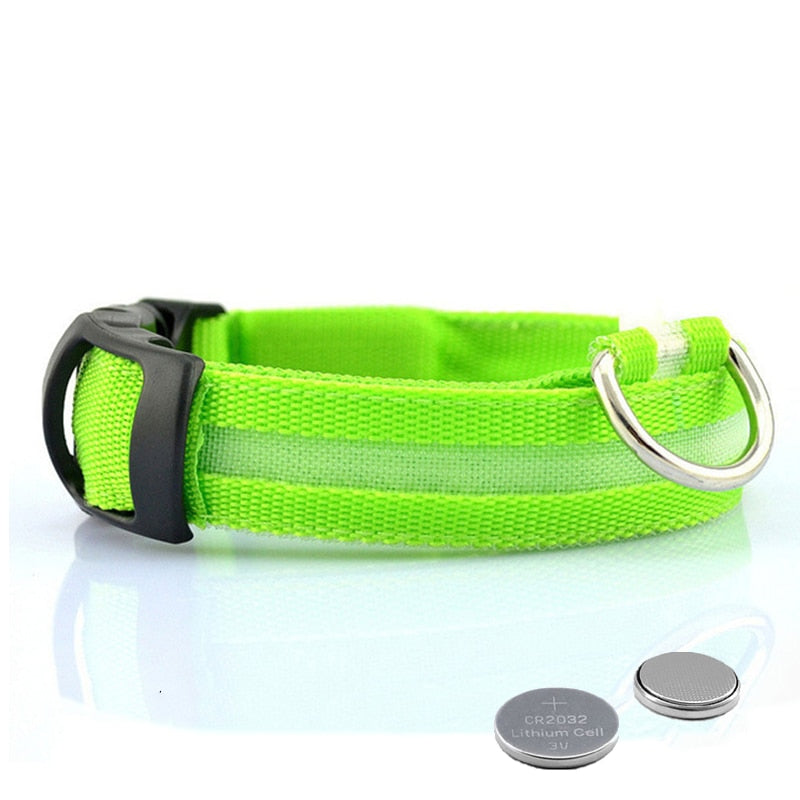 Hundehalsbånd med LED-belysning - GlowCollar