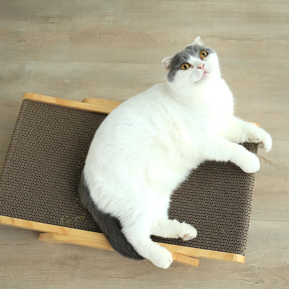 Katten Kradsede - Luna