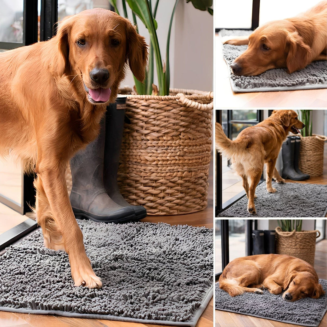 Collage af en rødbrun hund, der træder ind på, ligger og sover på den grå måtte ved døren. 5