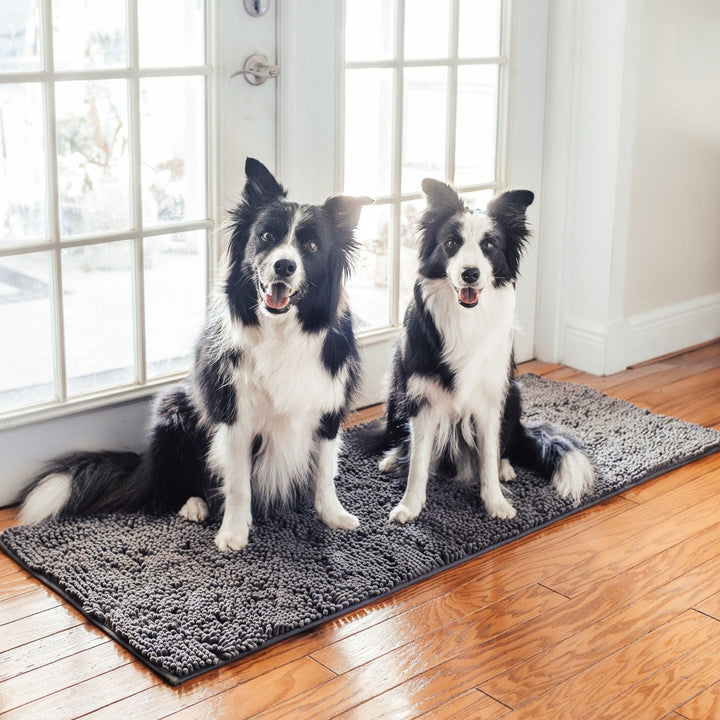 To sort-hvide border collies sidder på den grå måtte på trægulv foran en fransk dør. 10