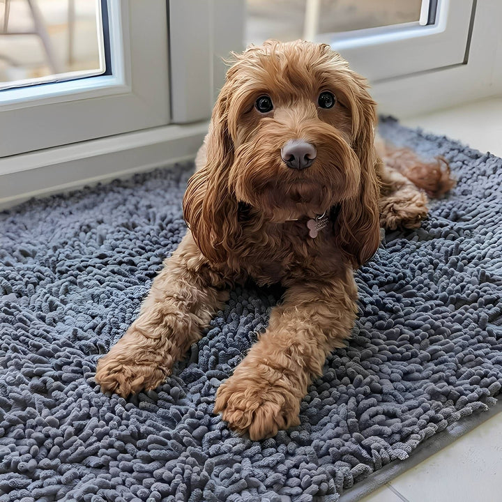 Rødbrun hund med lange ører ligger på en grå, fnuggede måtte foran et hvidt vindue. 2