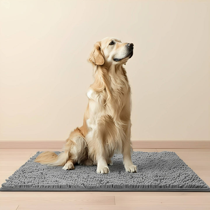 Siddende golden retriever poserer på en grå chenille-måtte på et lyst trægulv foran en beige væg. 1