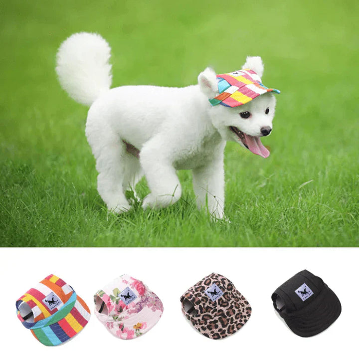 Stilfuld hundekasket med rund skygge - SunnyPaws