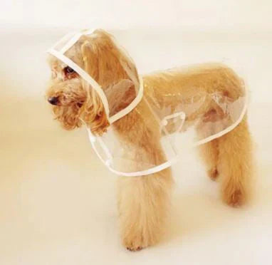 Transparent vandtæt regnjakke til hunde - DryPaw