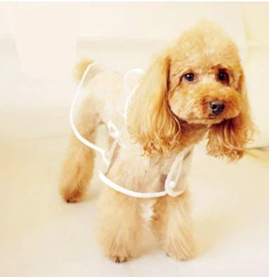 Transparent vandtæt regnjakke til hunde - DryPaw