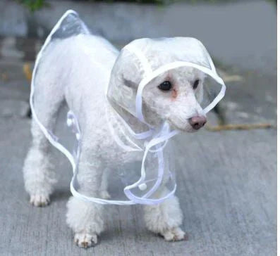 Transparent vandtæt regnjakke til hunde - DryPaw