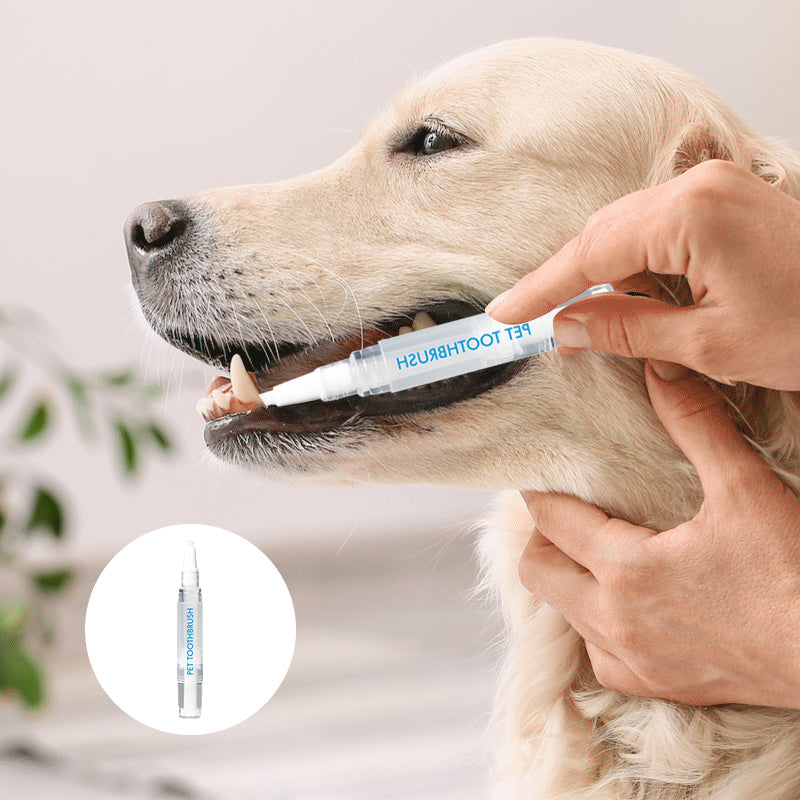 Kæledyr Tandbørste Pen - PetSmile