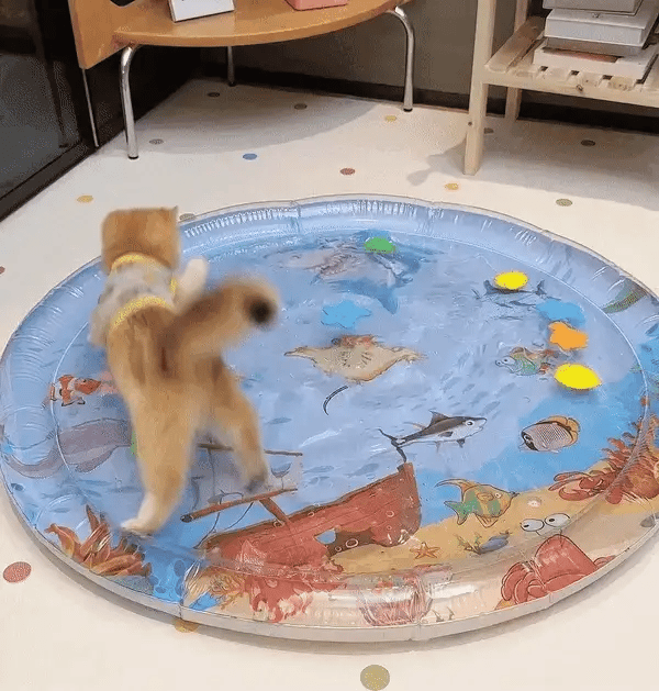 Interaktivt kattelegetæppe - PurrPulse