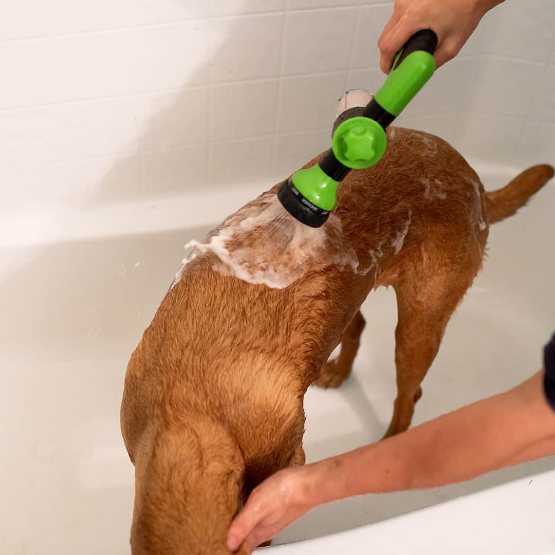 Brusersprøjte til hunde - WashBuddy