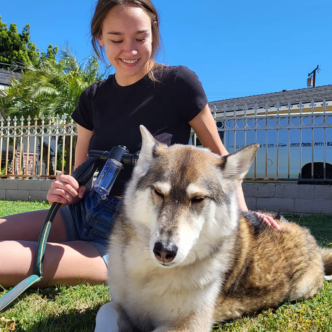 Brusersprøjte til hunde - WashBuddy