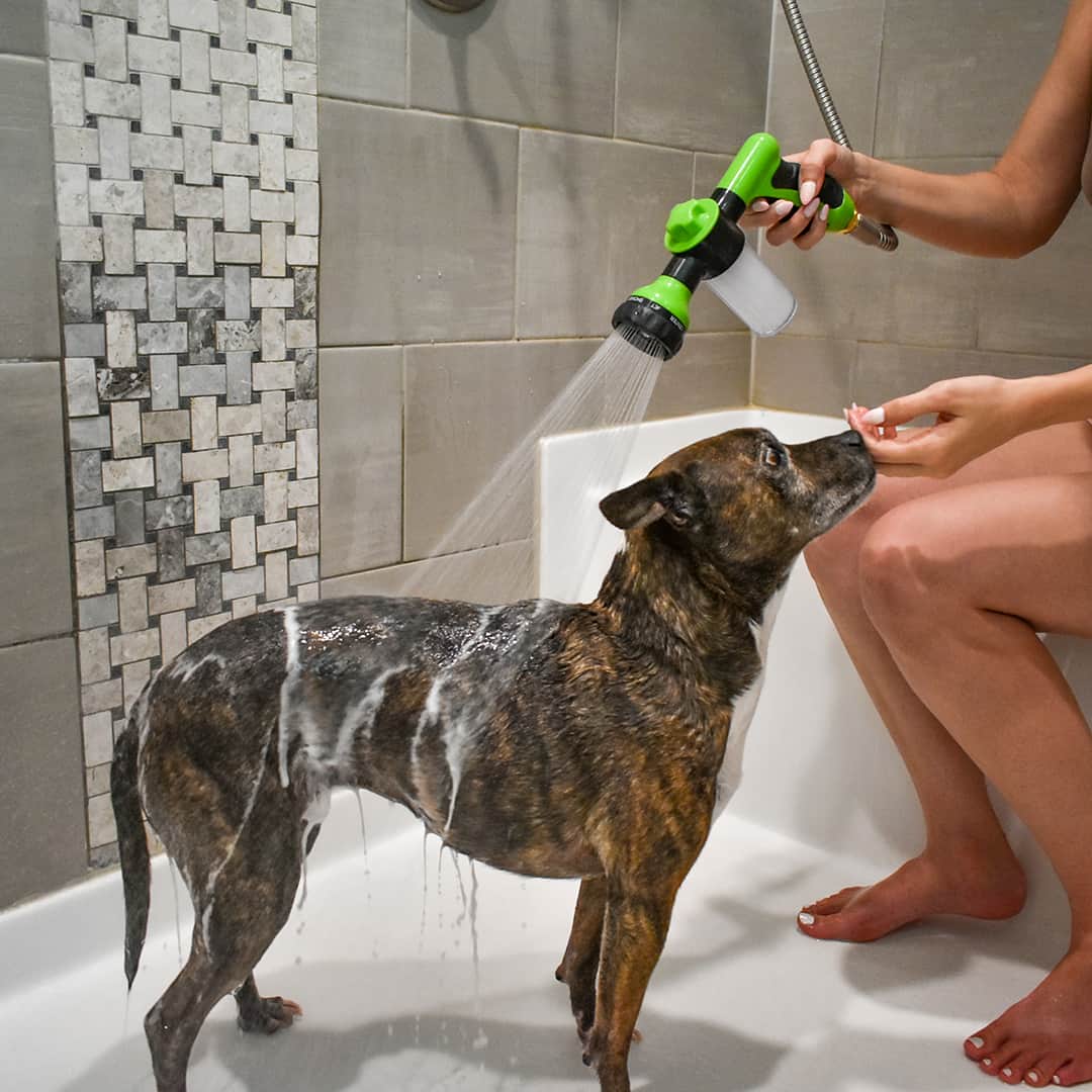 Brusersprøjte til hunde - WashBuddy